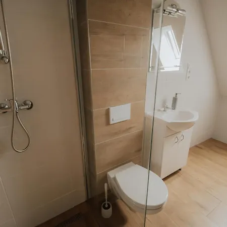 Hotel Dom Janskiego *